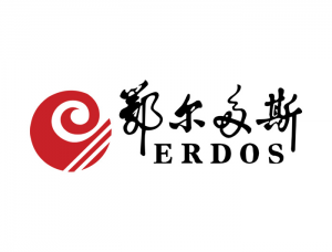 內(nèi)蒙古鄂爾多斯電力冶金集團(tuán)股份有限公司